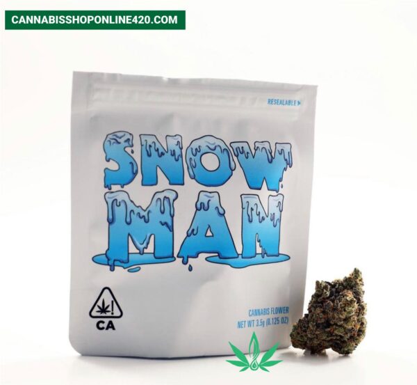 Buy Snowman Online