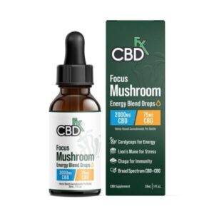 Focus Blend Mushroom Tincture + CBG + CBD