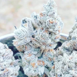 White Rhino Strain