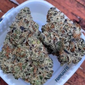 Jokerz Candy Strain