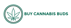 BUY CANNABIS BUDS